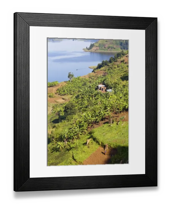 Framed Print : Lake Mutanda near Kisoro in Uganda. On the shoreline the land is cultivated, very Framed Print : Lake Mutanda near Kisoro in Uganda. On the shoreline the land is cultivated, very