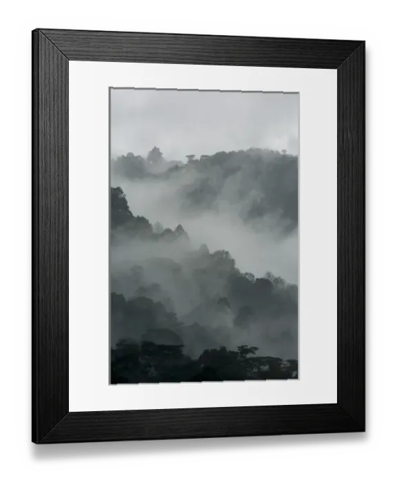 Framed Print : Mist and rain in the Bwindi Impenetrable Forest. Uganda Framed Print : Mist and rain in the Bwindi Impenetrable Forest. Uganda