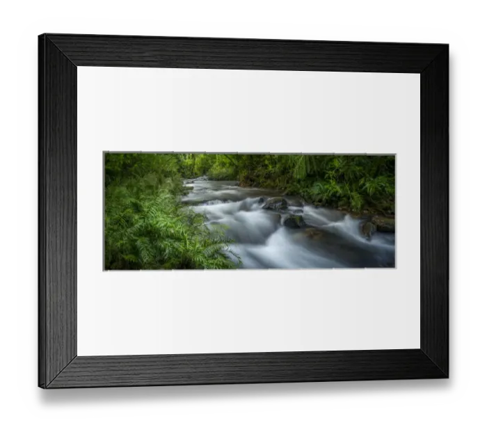 Framed Print : Mountain river. Forest interior. Bwindi Impenetrable Forest. Uganda Framed Print : Mountain river. Forest interior. Bwindi Impenetrable Forest. Uganda