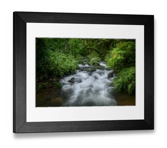 Framed Print : Mountain river. Forest interior. Bwindi Impenetrable Forest. Uganda Framed Print : Mountain river. Forest interior. Bwindi Impenetrable Forest. Uganda