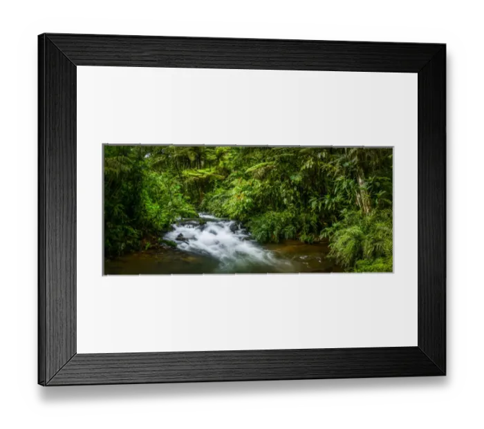 Framed Print : Mountain river. Forest interior. Bwindi Impenetrable Forest. Uganda Framed Print : Mountain river. Forest interior. Bwindi Impenetrable Forest. Uganda
