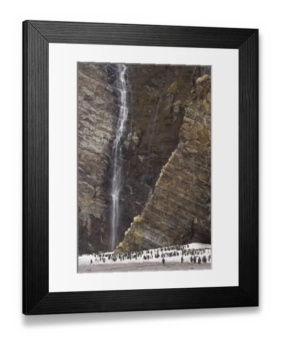 Framed Print : United Kingdom Territory, South Georgia Island, Fortuna Bay Framed Print : United Kingdom Territory, South Georgia Island, Fortuna Bay