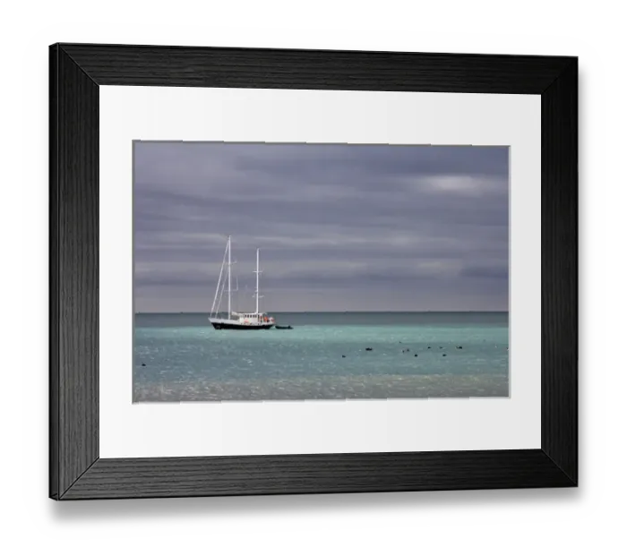 Framed Print : United Kingdom Territory, South Georgia Island, St Framed Print : United Kingdom Territory, South Georgia Island, St