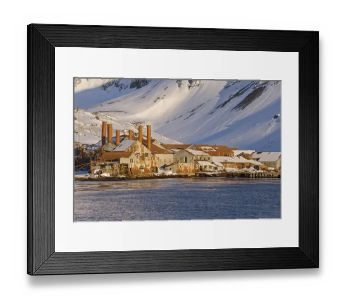 Framed Print : United Kingdom Territory, South Georgia Island, Leith Harbour Framed Print : United Kingdom Territory, South Georgia Island, Leith Harbour