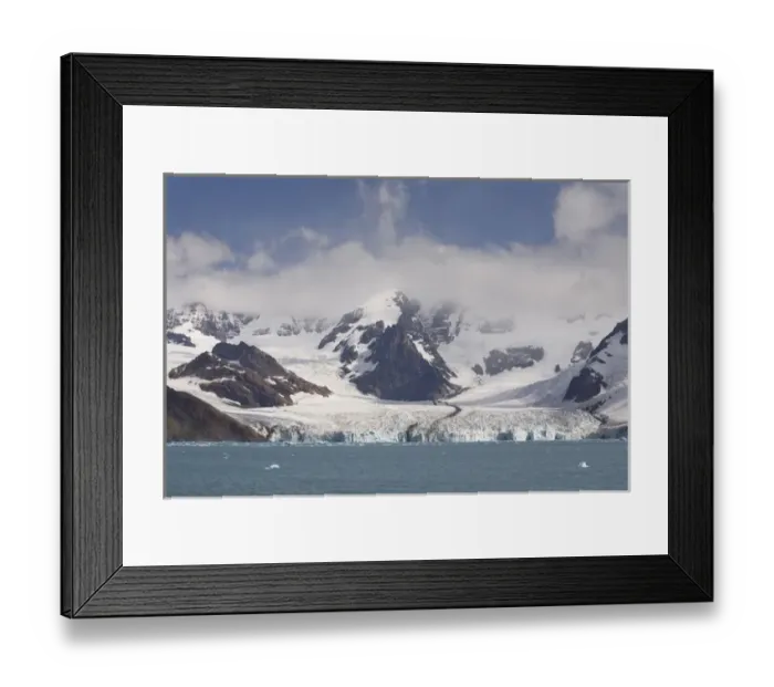 Framed Print : Antarctica, South Georgia, Royal Bay. View of Weddell Glacier Framed Print : Antarctica, South Georgia, Royal Bay. View of Weddell Glacier