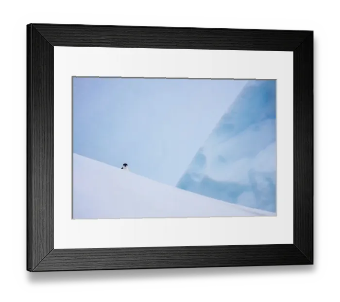 Framed Print : South Georgia Island. Chinstrap penguin on iceberg Framed Print : South Georgia Island. Chinstrap penguin on iceberg