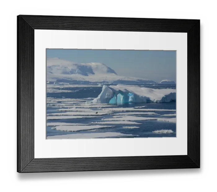 Framed Print : Antarctica. Antarctic Peninsula. South of the Antarctic Circle. near Adelaide Island Framed Print : Antarctica. Antarctic Peninsula. South of the Antarctic Circle. near Adelaide Island