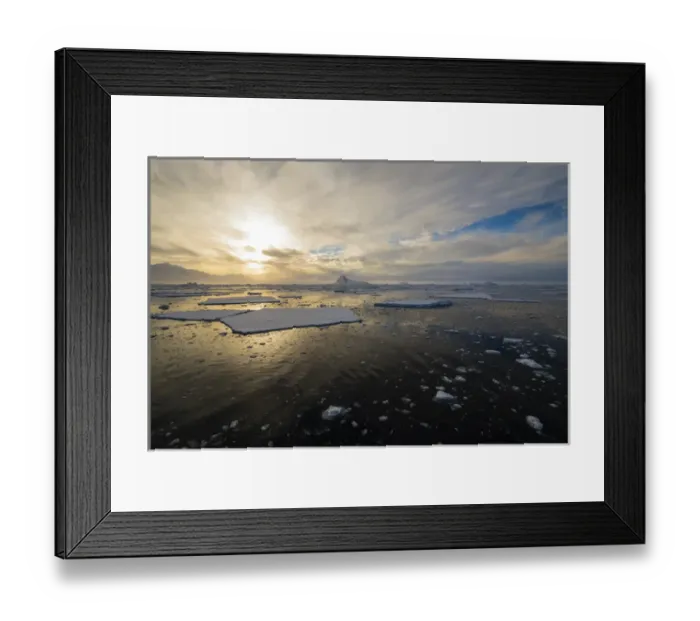 Framed Print : Antarctica. Antarctic Peninsula. near Adelaide Island. The Gullet. Ice floes at sunset Framed Print : Antarctica. Antarctic Peninsula. near Adelaide Island. The Gullet. Ice floes at sunset