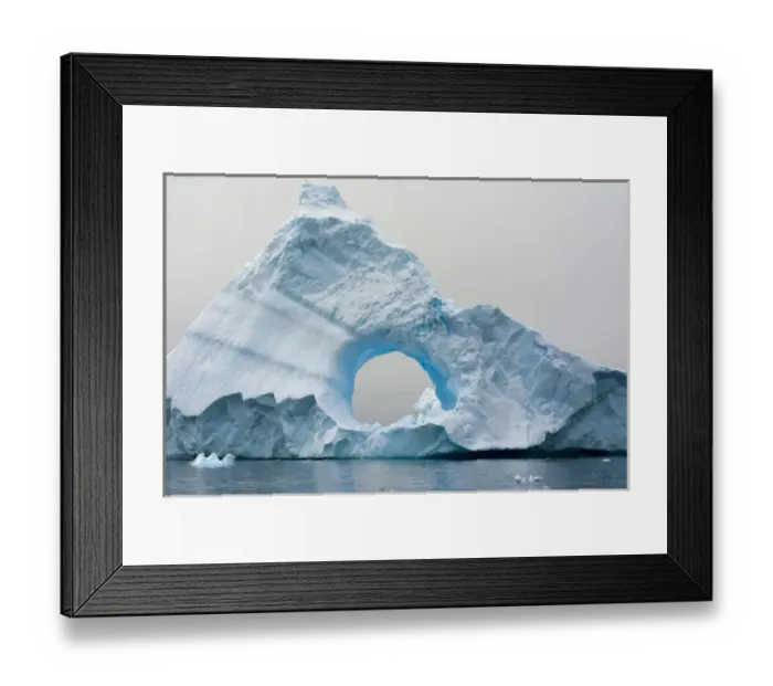 Framed Print : Antarctica. Antarctic Peninsula. Charlotte Bay