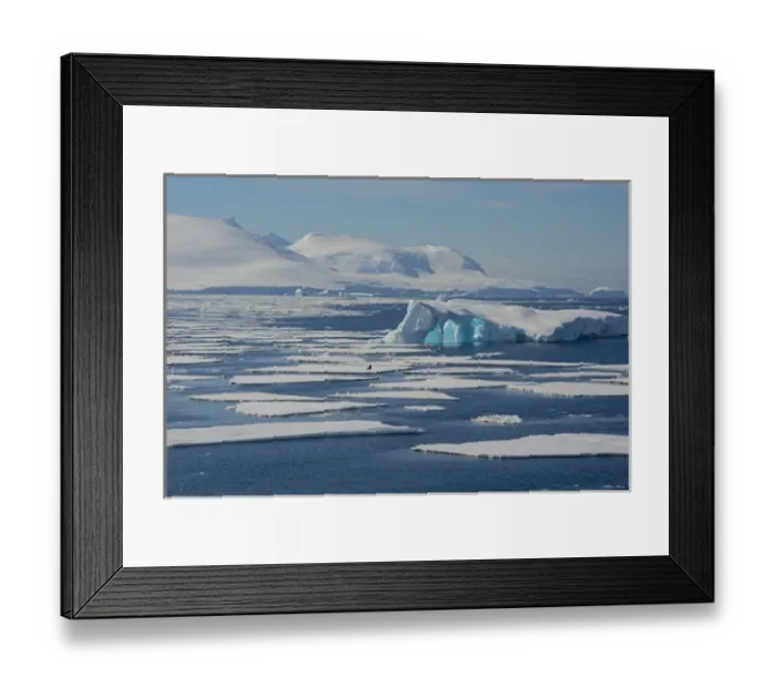 Framed Print : Antarctica. Antarctic Peninsula. South of the Antarctic Circle. near Adelaide Island Framed Print : Antarctica. Antarctic Peninsula. South of the Antarctic Circle. near Adelaide Island