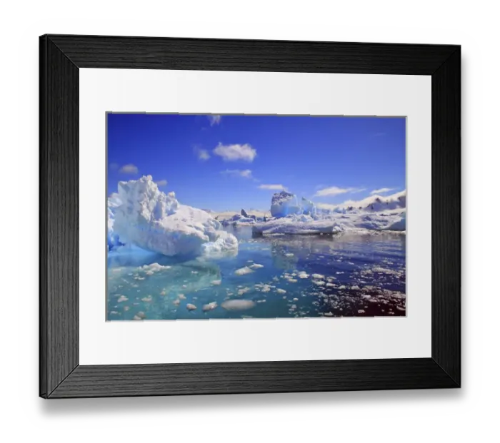 Framed Print : Icebergs and ice flows in the Artic Sea, near Paradise Harbor, Antarctica Framed Print : Icebergs and ice flows in the Artic Sea, near Paradise Harbor, Antarctica