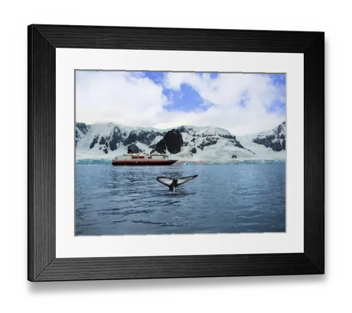 Framed Print : A cruise ship anchored in Neko Harbor, Gerlache Strait, Antarctic Peninsula, Antarctica Framed Print : A cruise ship anchored in Neko Harbor, Gerlache Strait, Antarctic Peninsula, Antarctica