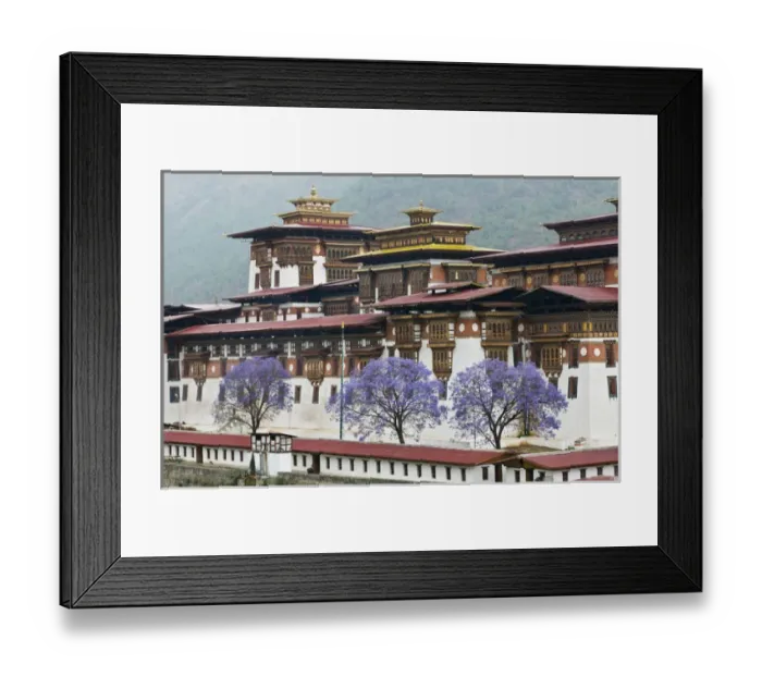 Framed Print : Asia, Bhutan. Exterior view of Punakha Dzong palace, with jacaranda trees in bloom