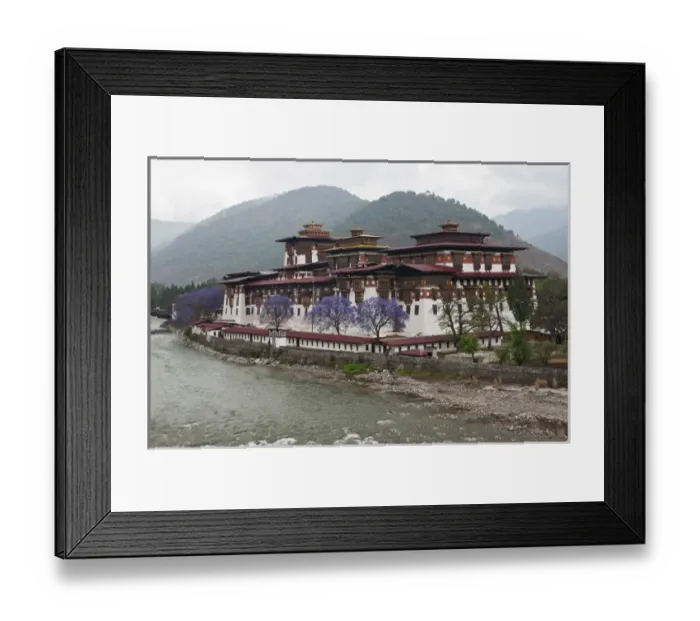 Framed Print : Asia, Bhutan. Exterior view of Punakha Dzong palace with jacaranda trees in bloom Framed Print : Asia, Bhutan. Exterior view of Punakha Dzong palace with jacaranda trees in bloom