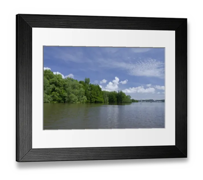 Framed Print : Borneo, Brunei. Dense mangrove forest along the Brunei river not far from the capital Framed Print : Borneo, Brunei. Dense mangrove forest along the Brunei river not far from the capital