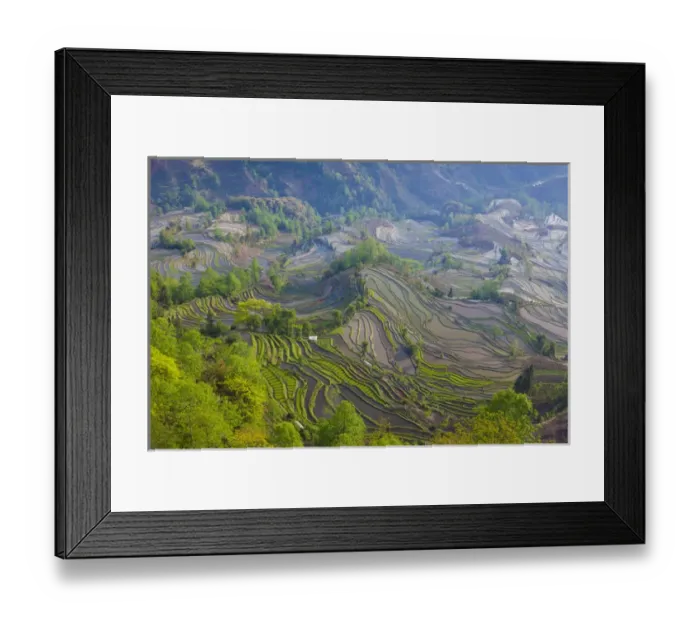Framed Print : Terraced rice fields, Yuanyang, China Framed Print : Terraced rice fields, Yuanyang, China