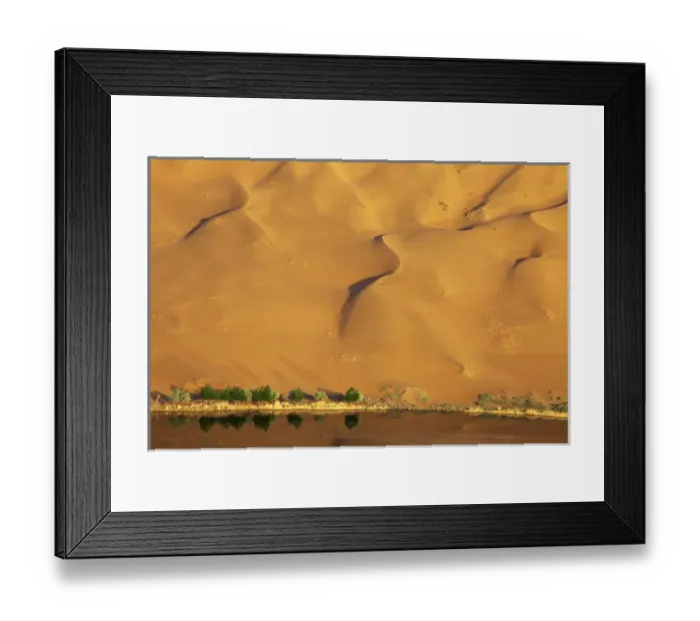 Framed Print : China, Inner Mongolia, Badan Jilin Desert. Dune and trees reflected in lake. Credit as Framed Print : China, Inner Mongolia, Badan Jilin Desert. Dune and trees reflected in lake. Credit as