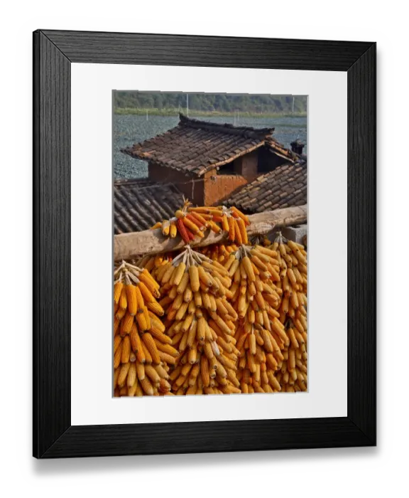 Framed Print : Corn hanging to dry with old farm house in valley just below the Dongchuan Red Land Hills