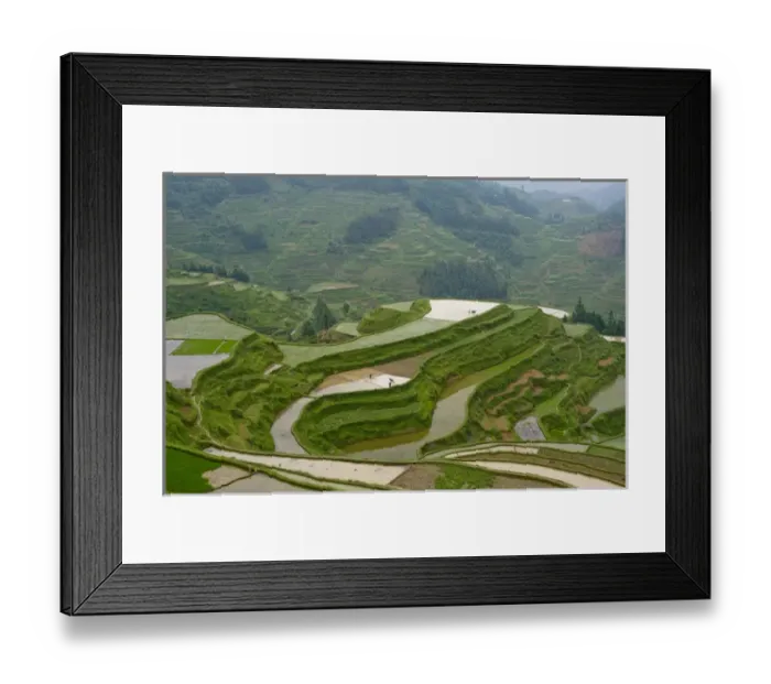 Framed Print : Rice Terraces, Eastern Guizhou Province, China