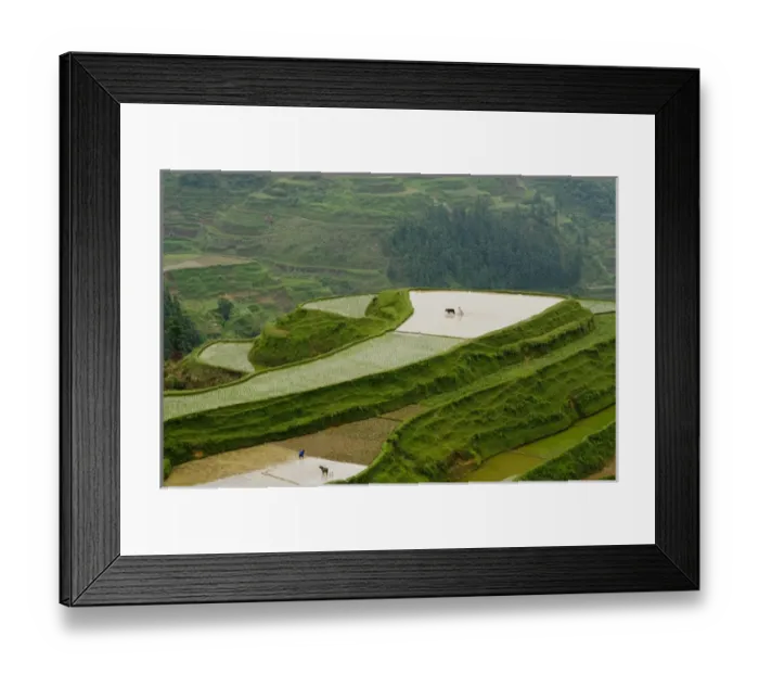 Framed Print : Rice Terraces, Eastern Guizhou Province, China