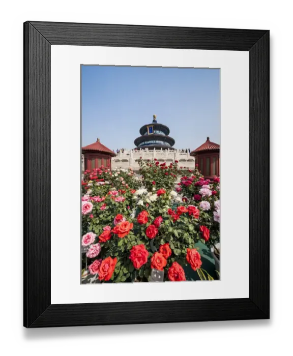 Framed Print : Hall of Prayer for Good Harvests in the Temple of Heaven (Altar of Heaven) Beijing Framed Print : Hall of Prayer for Good Harvests in the Temple of Heaven (Altar of Heaven) Beijing