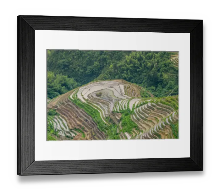Framed Print : Dragon Spine Rice Terraces Longsheng, China Framed Print : Dragon Spine Rice Terraces Longsheng, China