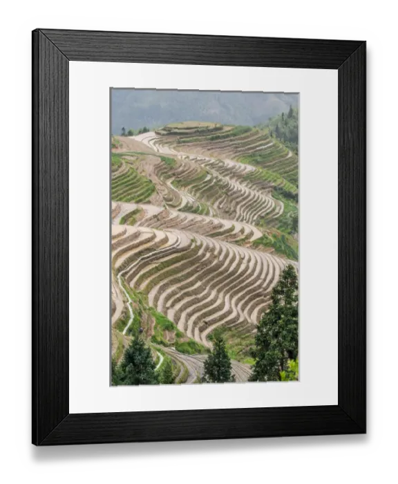 Framed Print : Dragon Spine Rice Terraces Longsheng, China