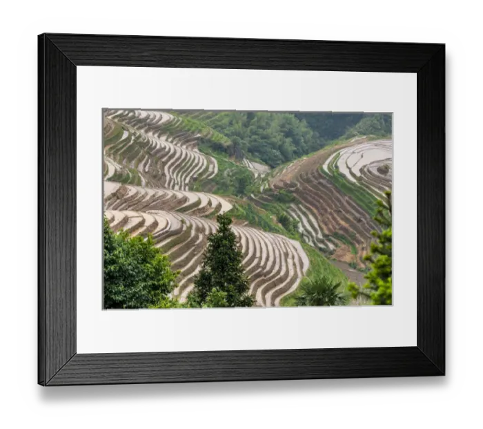 Framed Print : Dragon Spine Rice Terraces Longsheng, China