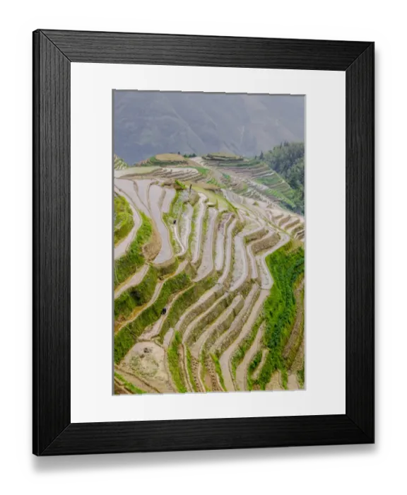 Framed Print : Dragon Spine Rice Terraces Longsheng, China Framed Print : Dragon Spine Rice Terraces Longsheng, China