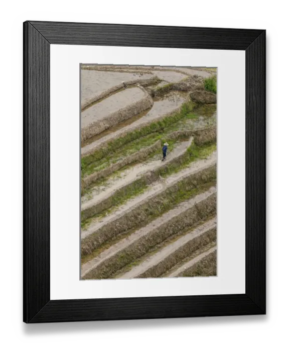 Framed Print : Dragon Spine Rice Terraces Longsheng, China