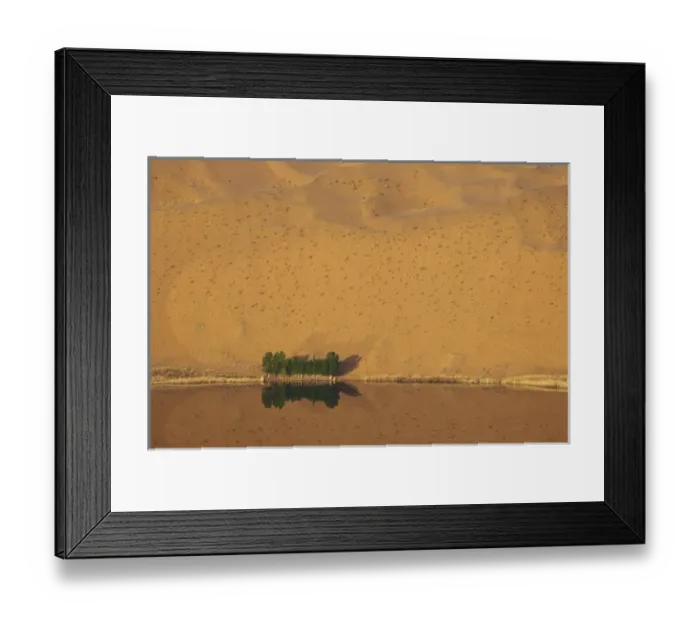 Framed Print : China, Inner Mongolia, Badan Jilin Desert. Dune and trees reflected in lake. Credit as Framed Print : China, Inner Mongolia, Badan Jilin Desert. Dune and trees reflected in lake. Credit as