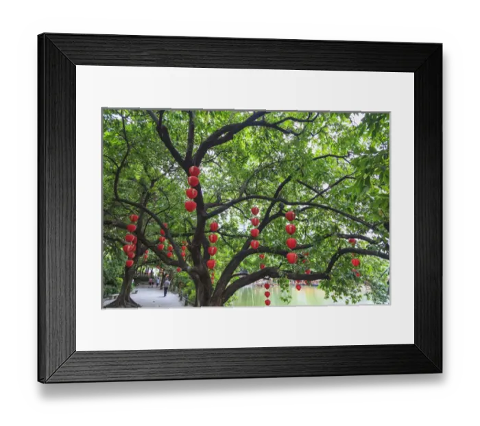 Framed Print : Lichi Bay Walkway and Park, Guangzhou, China