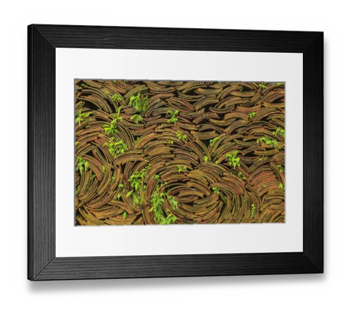 Framed Print : Tiles stacked for Waterfall, Nanfeng Kiln-oldest kiln in China, Foshan, near Guangzhou Framed Print : Tiles stacked for Waterfall, Nanfeng Kiln-oldest kiln in China, Foshan, near Guangzhou