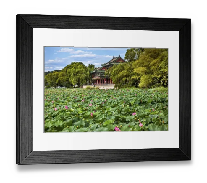 Framed Print : Red Pavilion Lotus Pads Garden Summer Palace Park, Beijing China Willow Green Trees Framed Print : Red Pavilion Lotus Pads Garden Summer Palace Park, Beijing China Willow Green Trees