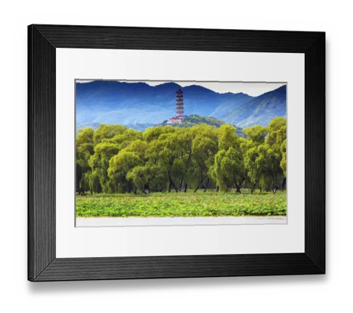 Framed Print : Yue Feng Pagonda Pink Lotus Pads Garden Willow Trees Summer Palace Beijing China Framed Print : Yue Feng Pagonda Pink Lotus Pads Garden Willow Trees Summer Palace Beijing China