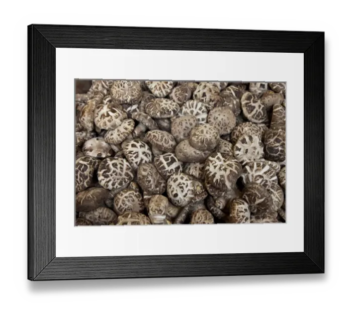 Framed Print : Asia, China, Hong Kong. Dried mushrooms