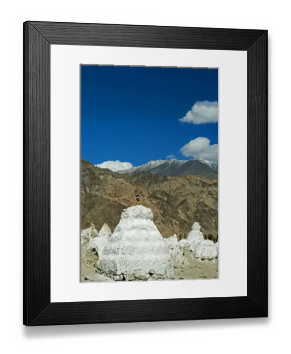 Framed Print : India, Ladakh, Shey, white stupa forest with Himalayas in the background Framed Print : India, Ladakh, Shey, white stupa forest with Himalayas in the background