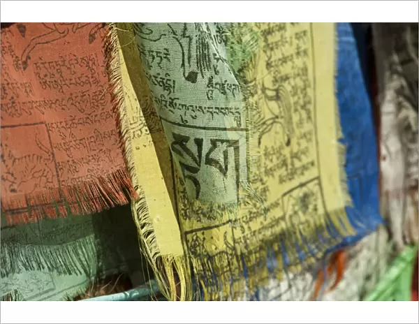 India, Ladakh, Leh, colorful tibetan prayer flags