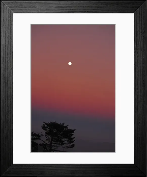 Framed Print : India, West Bengal, Singalila National Park, Sandakfu, moonrise at pink sunset