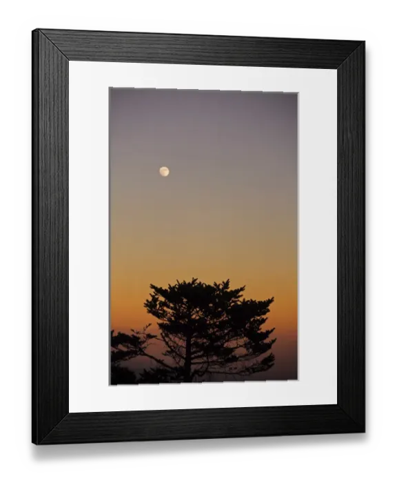Framed Print : India, West Bengal, Singalila National Park, Sandakfu, moonrise