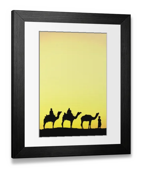 Framed Print : Camels and camel driver silhouetted at sunset, Thar Desert, Jodhpur, India Framed Print : Camels and camel driver silhouetted at sunset, Thar Desert, Jodhpur, India