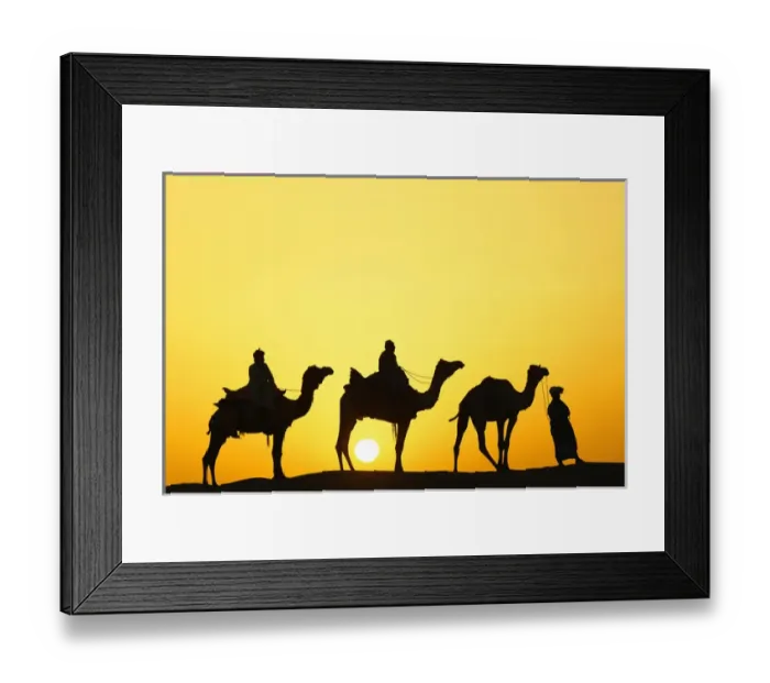 Framed Print : Camels and camel driver silhouetted at sunset, Thar Desert, Jodhpur, India