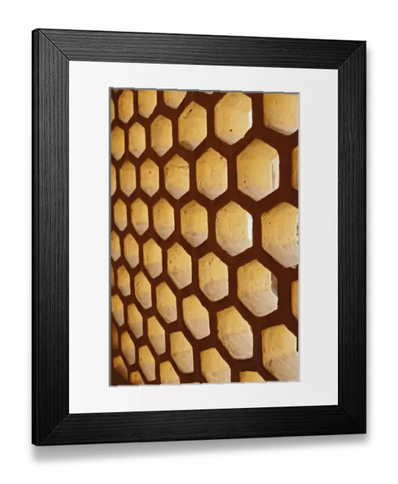 Framed Print : Architectural details, Amber Fort, Jaipur, India