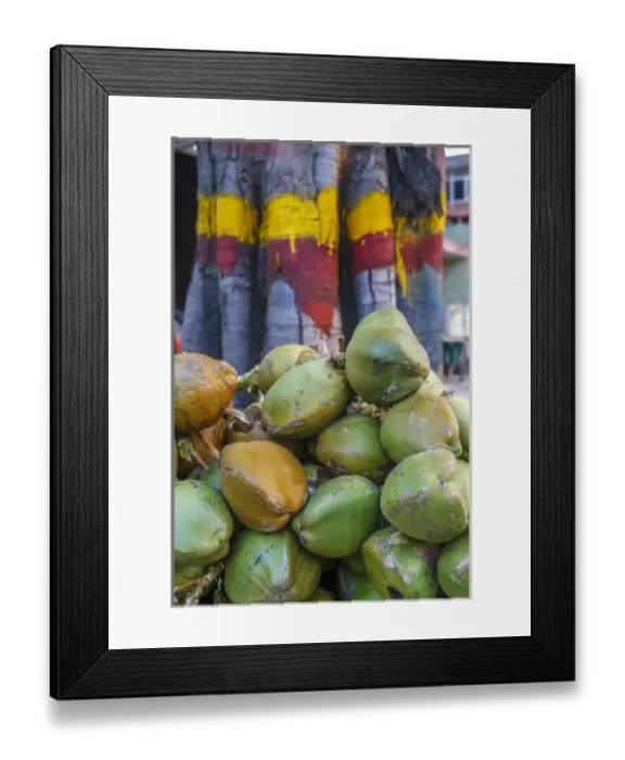 Framed Print : Pile of coconuts, Bangalore, India Framed Print : Pile of coconuts, Bangalore, India