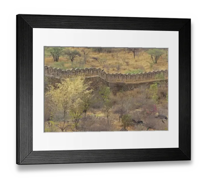 Framed Print : Ancient wall around old fort above Udaipur, India