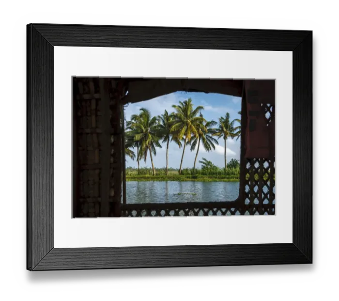Framed Print : Coconut trees seen from cruise boat in Backwaters, Kerala, India Framed Print : Coconut trees seen from cruise boat in Backwaters, Kerala, India