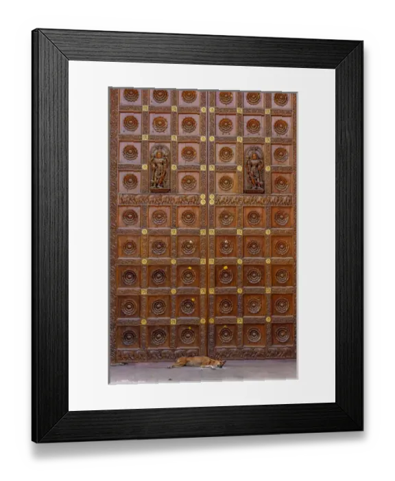 Framed Print : Dog and door at Temple in Sai Baba ashram, India
