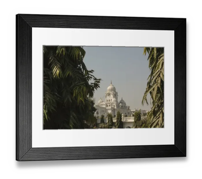 Framed Print : India, Punjab, Amritsar. View of Golden Temple through Ashoka trees Framed Print : India, Punjab, Amritsar. View of Golden Temple through Ashoka trees