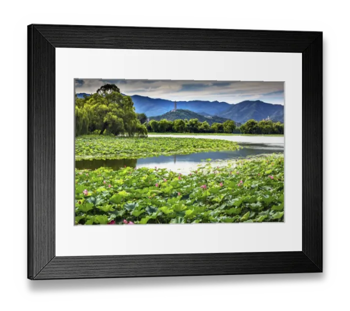 Framed Print : Yue Feng Pagonda Pink Lotus Pads Garden Reflection Summer Palace Beijing China Framed Print : Yue Feng Pagonda Pink Lotus Pads Garden Reflection Summer Palace Beijing China