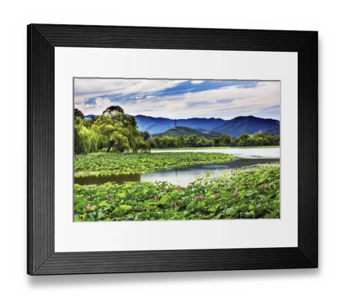Framed Print : Yue Feng Pagonda Pink Lotus Pads Garden Reflection Summer Palace Beijing China Framed Print : Yue Feng Pagonda Pink Lotus Pads Garden Reflection Summer Palace Beijing China